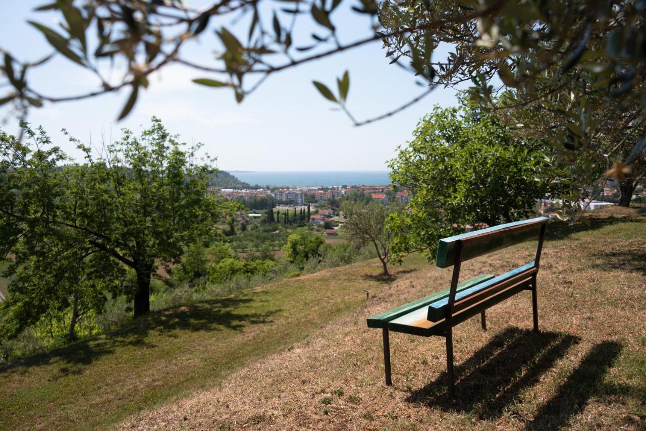 Istrian Casa Ladonia By Locap Group Villa Portorož Kültér fotó