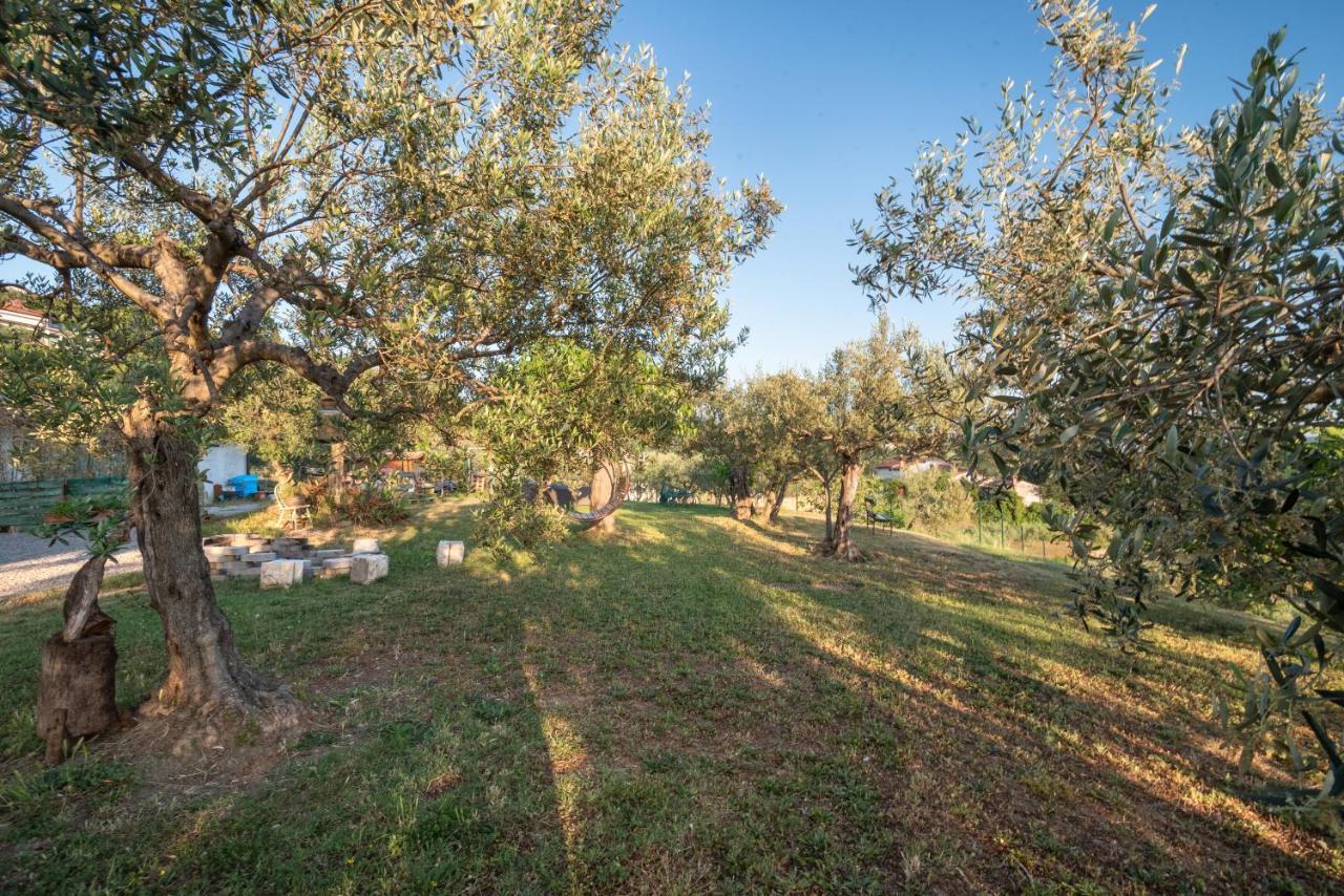 Istrian Casa Ladonia By Locap Group Villa Portorož Kültér fotó
